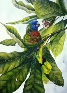 parrot and fruit birds Oil Paintings